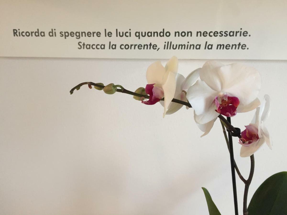 Villa Pacchioni Cavezzo 外观 照片